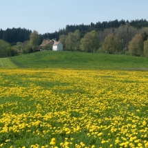 Frühjahr im Illertal