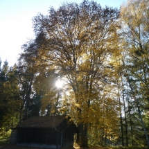 Herbststimmung an der Iller